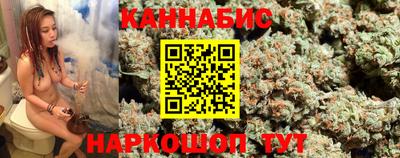 прущие крисы Гатчина