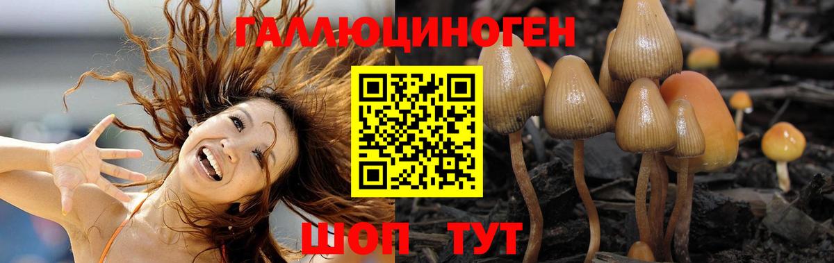 Галлюциногенные грибы прущие грибы Нижнекамск